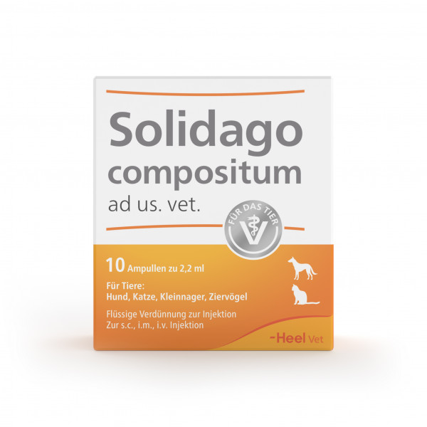 SOLIDAGO COMPOSITUM ad us.ve. für Tiere Ampullen
