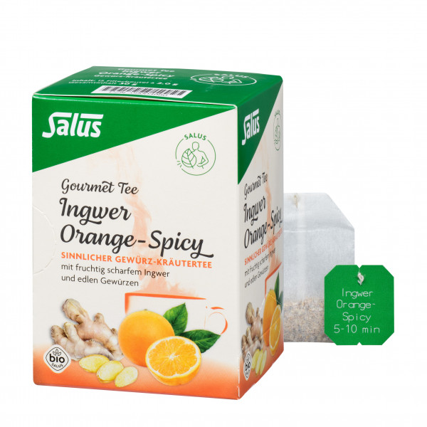 INGWER ORANGE Spicy Tee Salus Filterbeutel BIO