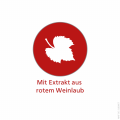 ANTISTAX extra Venentabletten