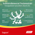 SOGOON 480 mg Filmtabletten