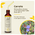 Original Bachblüten Cerato 20ml