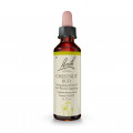 Original Bachblüten Chestnut Bud 20ml