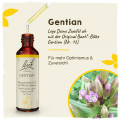 Original Bachblüten Gentian 20ml