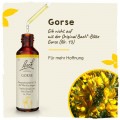 Original Bachblüten Gorse 20ml