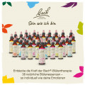 Original Bachblüten Mimulus 20ml