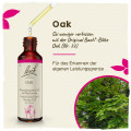 Original Bachblüten Oak 20ml
