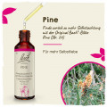 Original Bachblüten Pine 20ml