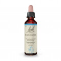 Original Bachblüten Rock Water 20ml