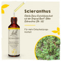 Original Bachblüten Scleranthus 20ml
