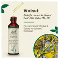 Original Bachblüten Walnut 20ml
