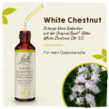 Original Bachblüten White Chestnut 20ml