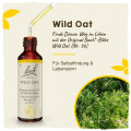 Original Bachblüten Wild Oat 20ml