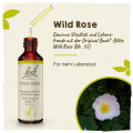 Original Bachblüten Wild Rose 20ml
