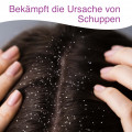 STIEPROXAL Shampoo