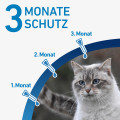 FRONTLINE SPOT-ON gegen Zecken und Flöhe für Katzen