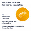 PROBIO-Cult AKK1 Akkermansia Syxyl Tabletten
