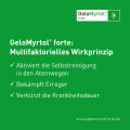 GeloMyrtol forte bei Sinusitis und Bronchitis mit Husten &amp; Schnupfen