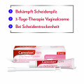 CANESTEN GYN 3 Vaginalcreme