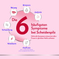 CANESTEN GYN 3 Vaginalcreme