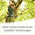 ARNIKA SALBE 30%