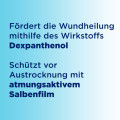 BEPANTHEN Wund- und Heilsalbe
