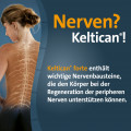 KELTICAN forte Kapseln