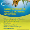 CANOSAN Kautabletten bei Gelenkproblemen Hund mit Grünlippmuschel Extrakt Gonex