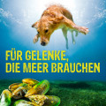 CANOSAN Kautabletten bei Gelenkproblemen Hund mit Grünlippmuschel Extrakt Gonex