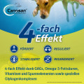 CANOSAN Kautabletten bei Gelenkproblemen Hund mit Grünlippmuschel Extrakt Gonex
