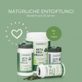 BETA REU RELLA Süßwasseralgen Tabletten BIO