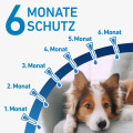 FRONTLINE SPOT-ON gegen Zecken und Flöhe für Hunde L