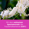 REMIFEMIN Tabletten