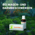 GASTRITOL Liquid Flüssigkeit zum Einnehmen