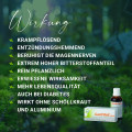 GASTRITOL Liquid Flüssigkeit zum Einnehmen