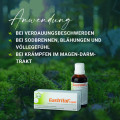 GASTRITOL Liquid Flüssigkeit zum Einnehmen