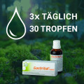GASTRITOL Liquid Flüssigkeit zum Einnehmen