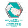 COREGA Purfrisch Schaum