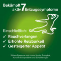 NICORETTE 2 mg freshmint Kaugummi