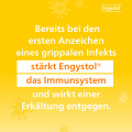 ENGYSTOL Tabletten