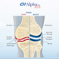 CH ALPHA Plus Trinkampullen