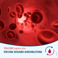 TELCOR Arginin plus Btl. Granulat