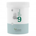 BIOCHEMIE Pflüger 9 Natrium phosphoricum D 6 Tabl.