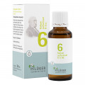 BIOCHEMIE Pflüger 6 Kalium sulfuricum D 6 Tropfen
