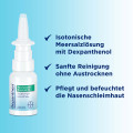 BEPANTHEN Meerwasser Nasenspray