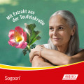 SOGOON 480 mg Filmtabletten