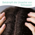 STIEPROX Shampoo