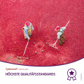 CYSTORENAL Cranberry plus Granulat