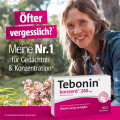 TEBONIN konzent 240 mg Filmtabletten
