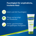 CETAPHIL 24h Intensiv Feuchtigkeitspflege Lotion