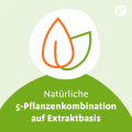 SINUPRET extract überzogene Tabletten bei akuten, unkomplizierten Entzündungen der Nasennebenhöhlen